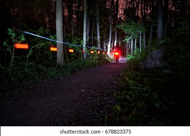 Blurred Rear Light Trail Of A Riding Bike At Night In The Forest