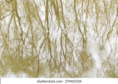 Blurred reflection of trees and sky in a small wood river. Spring. The concept of outdoor recreation.