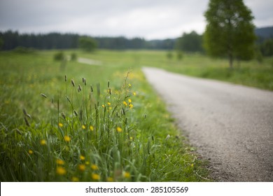 Blurred Road With Flowers In The Ditch