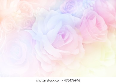 Beautiful Flowers Made Color Filters Stock Photo 115812106 | Shutterstock