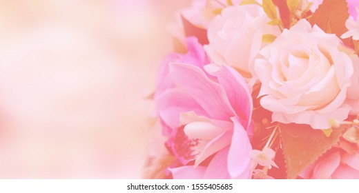 Blurred Rose Flowers Pink Blooming Pastel Stock Photo 1555405685 ...