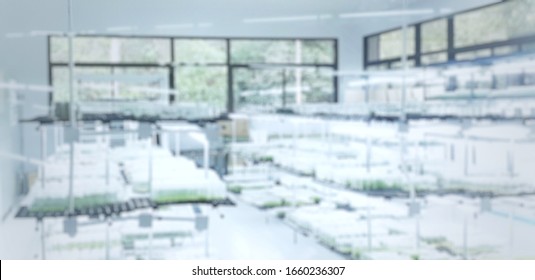 Blurred Sience Lab Background. Science And Medical Background. Laboratory White Background.