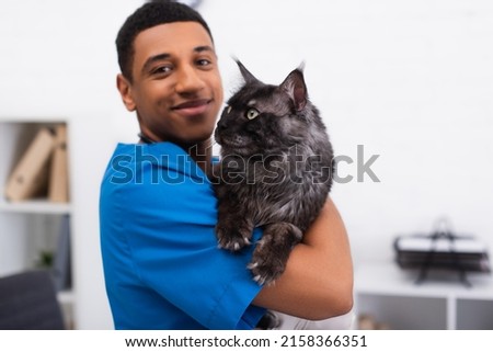 Blurred and smiling african american veterinarian in uniform holding furry maine coon cat in clinic