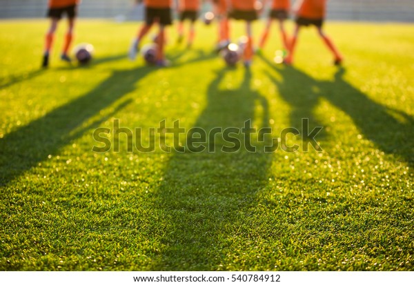 学校のサッカー場がぼやけた 若いサッカー選手がピッチでトレーニングをしている サッカースタジアムの草の背景 の写真素材 今すぐ編集