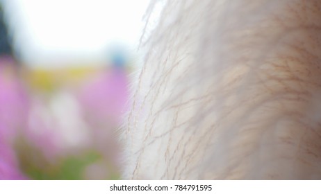 blurred Soft abstract background.