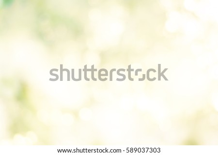 Blurred soft bokeh abstract background