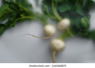 Blurred soft filter effects on white radish with leaf on light background. Original vegetables background
