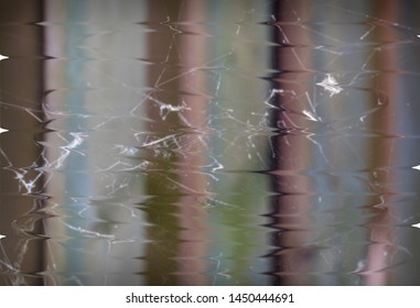 a Blurred spider web background  