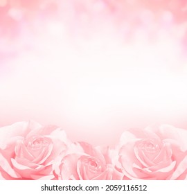 Blurred square background with three roses of pink color. Copy space for text. Mock up template. Can be used for wallpaper, wedding card, web page banner