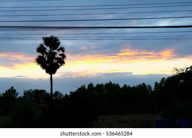 Blurred Sunset