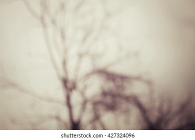 Blurred of tree