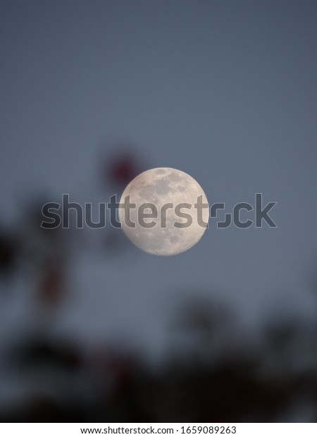 Blurred tree branches in the foreground of a\
clear full moon in southern\
Arizona.