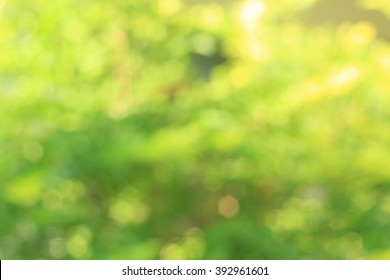 Blurred Tree And Green And Brown Background Scene, Popular