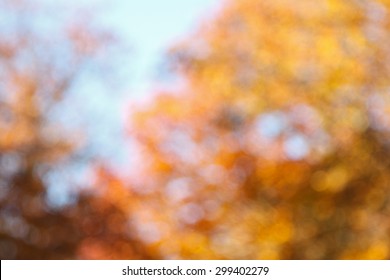 Blurred Tree With Leaves In Orange, Orange And Red In Front Of Blue Sky In Fall, Background