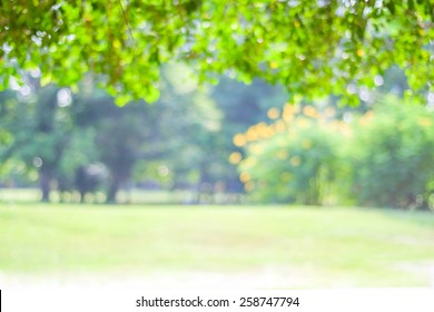 Blurred trees with bokeh in park background, spring summer season