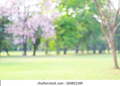 Blurred Trees With Bokeh In Park Background, Spring And Summer Season