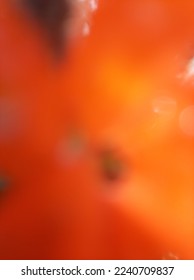 Blurred or unfocused or defocused Alloplectus Chrysothemis pulchella also known as Sunset Bells, Black Flemingo, Copper leaf or simply Chry. Orange Flower abstract background