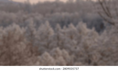 A blurred view of a dense forest canopy during autumn, showcasing a palette of muted browns, greens, and grays.