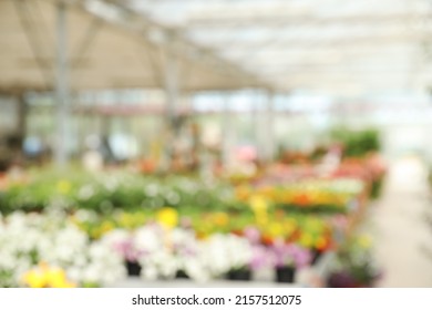 Blurred View Of Garden Center With Many Different Blooming Plants