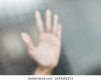 the glass palm 