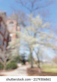 Blurred Walkway And Beautiful Tress In Auburn University