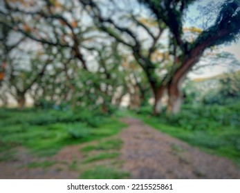 Blurred Water Infiltration Forest Background Concept