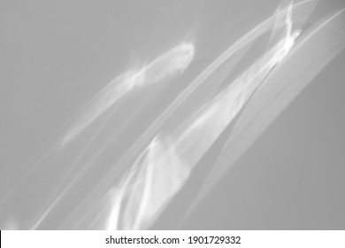 Blurred water texture overlay effect for photo and mockups. Organic drop diagonal shadow and light caustic effect on a white wall. Shadows for natural light effects - Shutterstock ID 1901729332