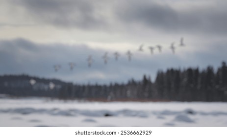 Blurred Winter Background of Birds in Flight Over Snowy Landscape - Powered by Shutterstock