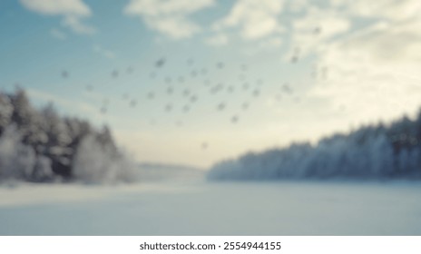 Blurred Winter Background of Blurred Winter Background of Flock of Birds Flying Over Snowy Landscape - Powered by Shutterstock