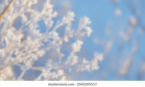 Blurred Winter Background of Blurred Winter Background of Frosty Branches with Intricate Ice Patterns - Powered by Shutterstock