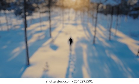 Blurred Winter Background of Blurred Winter Background of Hiker Walking Through Snowy Pine Forest - Powered by Shutterstock