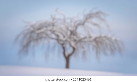 Blurred Winter Background of Leafless Tree with Snow in Serene Winter Landscape - Powered by Shutterstock