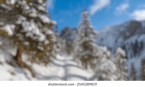 Blurred Winter Background of Snowy Mountain Trail with Tall Pine Trees - Powered by Shutterstock