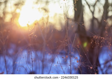 Blurred winter landscape, defocused sunset scene - Shutterstock ID 2246330125