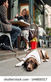 Blurred Young Couple At Cafe With Dog Resting On Sidewalk