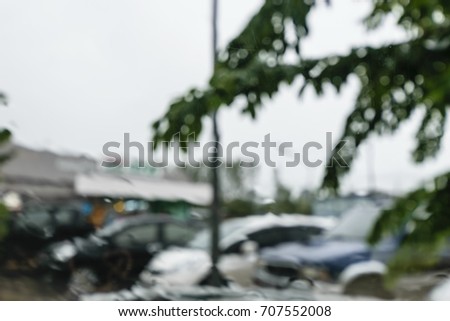 Blurring leaf of tree, blurring car parking background