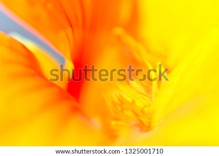 Similar – Image, Stock Photo honey yellow Wellness Life