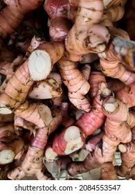 Blurry Alpinia Galanga  Root. Family Zingiberaceae