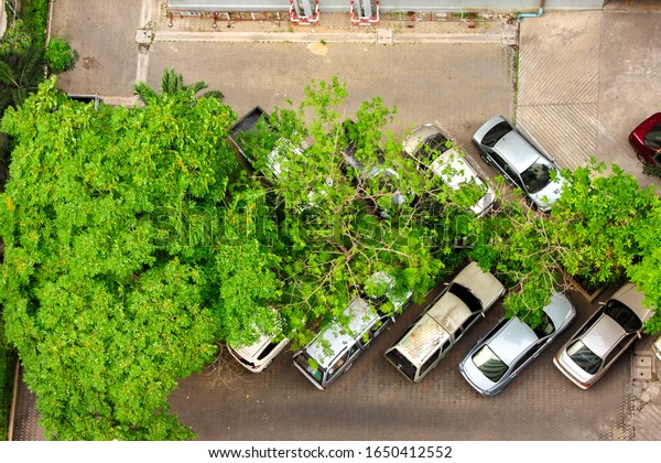 The blurry background\
of cars parked around buildings or parks surrounded by large trees,\
stopover