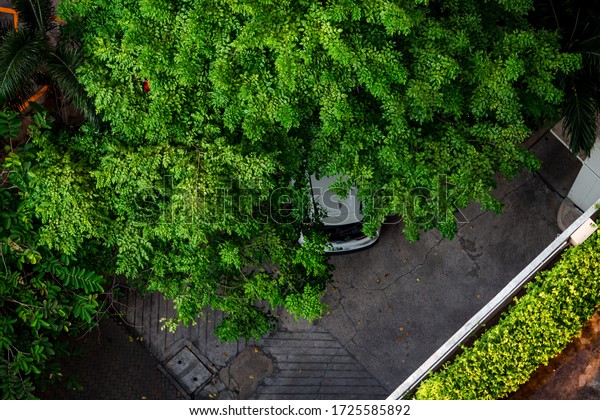 The blurry background
of cars parked around buildings or parks surrounded by large trees,
stopover
