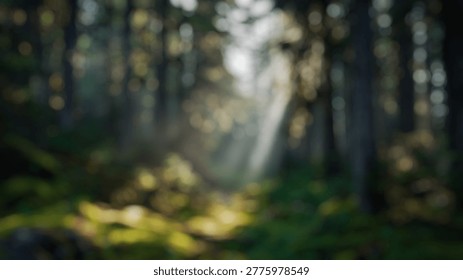Blurry Background of Dramatic Sunlight Filtering Through Dense Forest Canopy Creating Enchanting Light Beams in Serene Natural Landscape