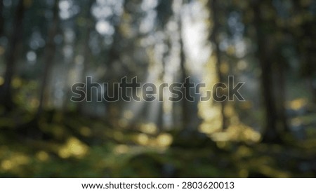 Blurry Background of Dramatic View of Sunlight Filtering Through Tall Trees in a Serene Forest Setting with Lush Greenery and Soft Moss Underfoot