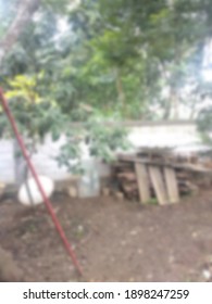 [Blurry]
Backyard Of A Former Construction House