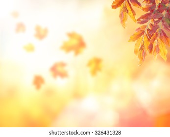 Blurry Beautiful Autumn With Bokeh Light Background