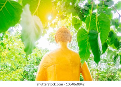 Blurry Buddha Statue On Bodhi Leaf Or Ficus Religiosa Or Sacred Fig Tree On Daylight. 