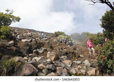 Blurry and de focused image of the climbers passed the slamet mountain climbing route, the highest mountain in central Java - Indonesia, Mount Slamet, Central Java 2018