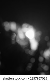 Blurry dreamy bokeh of light shimmering thru the leafy green leaves and trees in a black and white monochrome. - Shutterstock ID 2257967025