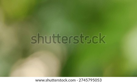 Blurry green background with soft focus and abstract shapes