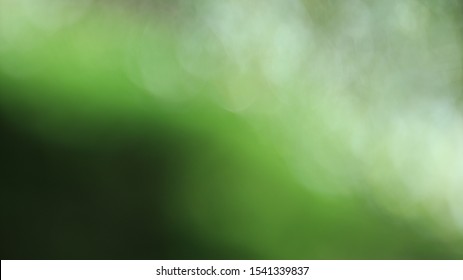 Blurry Green Effect Grass Photo Background