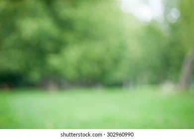 Blurry Green Park Bokeh Background